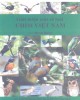 Ebook Giới thiệu một số loài chim Việt Nam: Phần 1