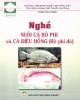 Ebook Nghề nuôi cá rô phi và cá điêu hồng (Rô phi đỏ): Phần 1