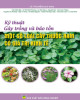 Ebook Kỹ thuật gây trồng và bảo tồn một số loài cây thuốc Nam có giá trị kinh tế: Phần 1