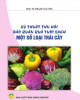 Ebook Kỹ thuật thu hái bảo quản quả tươi sạch một số loại trái cây: Phần 2