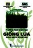 Ebook Phương pháp chọn tạo giống lúa kháng đạo ôn và chịu mặn