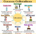 Basic Grammar in use: Collocations (Cụm từ cố định)