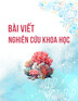 Những phát hiện ban đầu về nhóm tháp Chăm Khương Mỹ - Quảng Nam