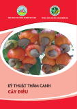 Tài liệu Kỹ thuật thâm canh cây điều