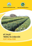 Tài liệu Kỹ thuật trồng và chăm sóc cây hoa cúc