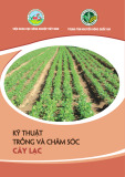 Tài liệu Kỹ thuật trồng và chăm sóc cây lạc