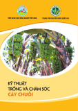 Tài liệu Kỹ thuật trồng và chăm sóc cây chuối