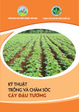 Tài liệu Kỹ thuật trồng và chăm sóc cây đậu tương