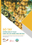 Sổ tay Hướng dẫn kỹ thuật canh tác cây nhãn theo VietGAP